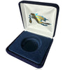 VSB1 Black Leatherette Display Box - Blue Stork